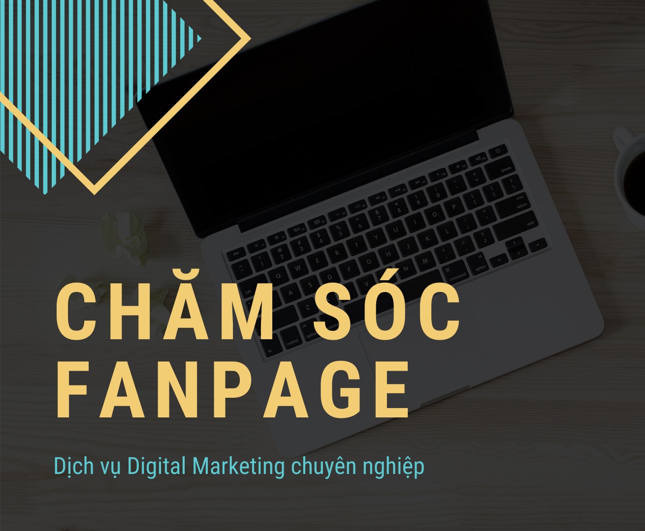 DỊCH VỤ CHĂM SÓC FANPAGE